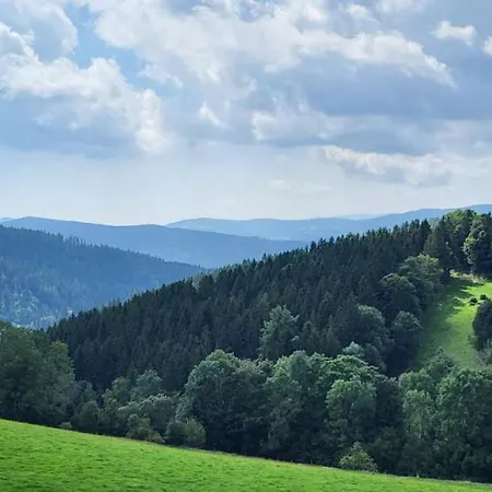 Haus Am Hochwechsel *