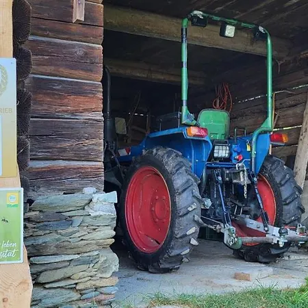 別荘 Haus Am Hochwechsel