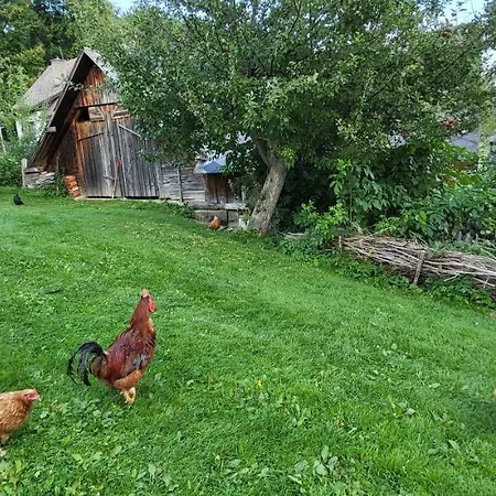 Haus Am Hochwechsel 別荘