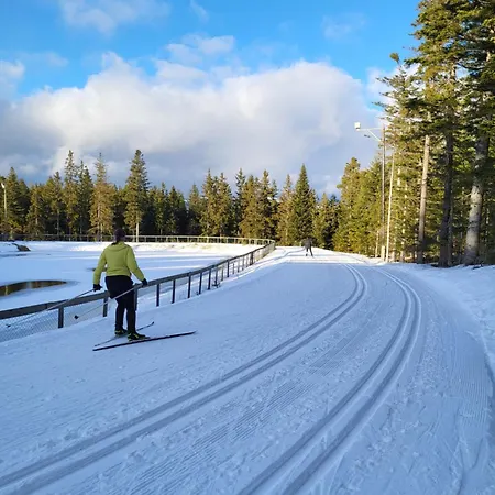 Haus Am Hochwechsel 別荘