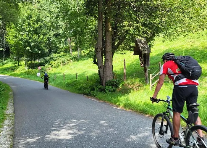 Haus Am Hochwechsel Breitenbrunn (Styria)