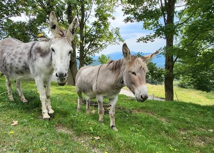Dom wakacyjny Haus Am Hochwechsel
