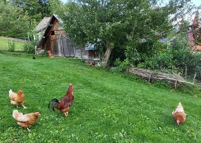 Haus Am Hochwechsel بيت للعطل