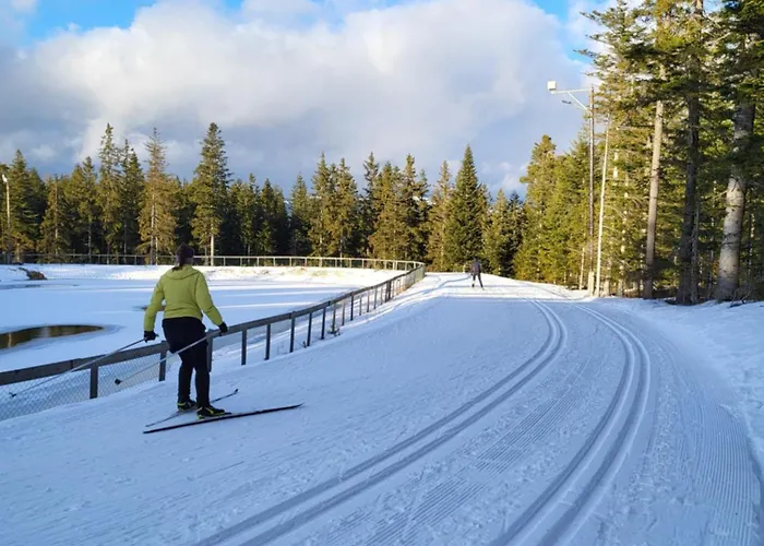Haus Am Hochwechsel Dom wakacyjny