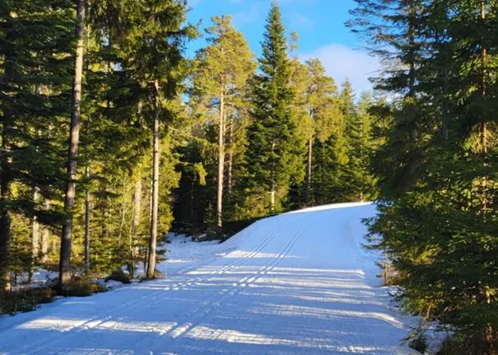 بيت للعطل Haus Am Hochwechsel *